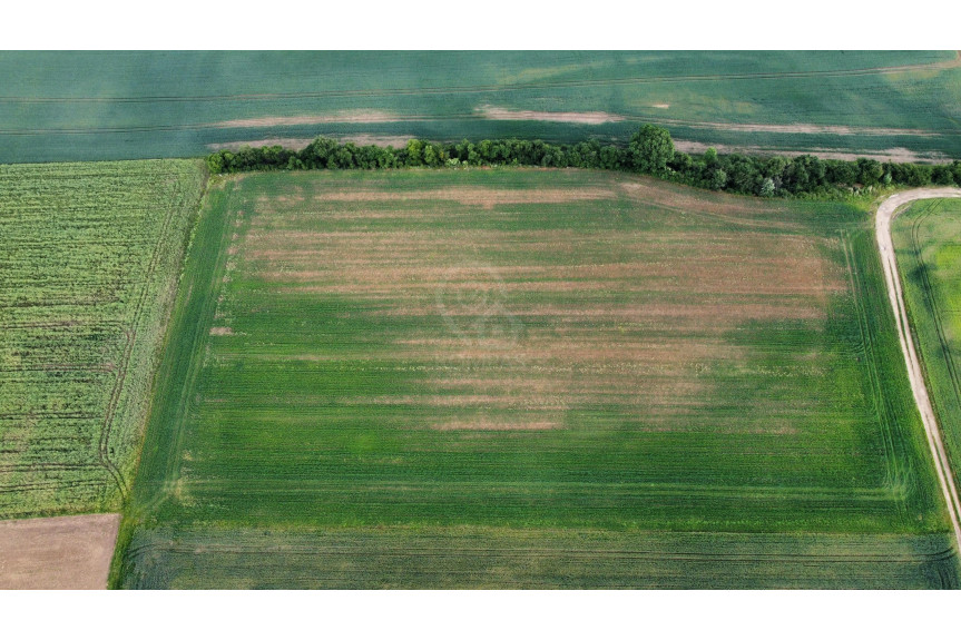trzebnicki, Zawonia, Sędzice, 2,69ha działki rolnej.
