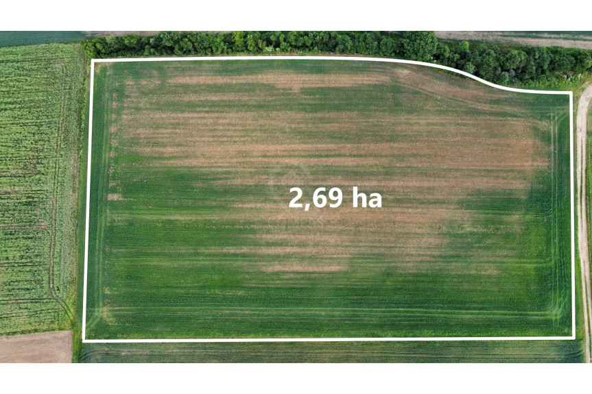 trzebnicki, Zawonia, Sędzice, 2,69ha działki rolnej.