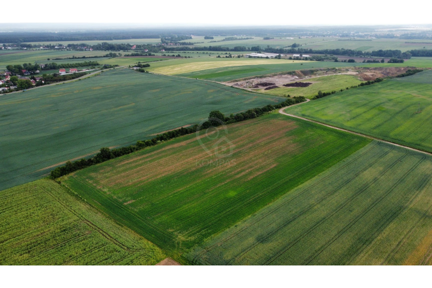 trzebnicki, Zawonia, Sędzice, 2,69ha działki rolnej.