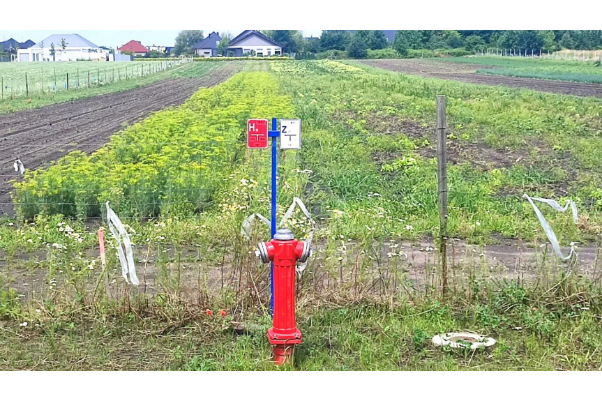 wrocławski, Długołęka, Kiełczów, Wrocławska, Działka siedliskowa w Kiełczwie - 1344m2
