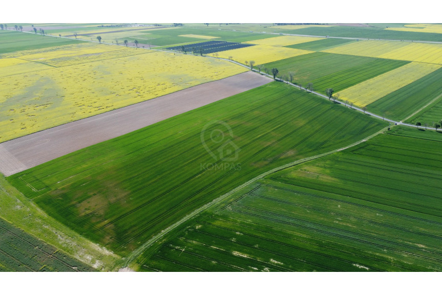 średzki, Kostomłoty, Duża działka z potencjałem inwestycyjnym!