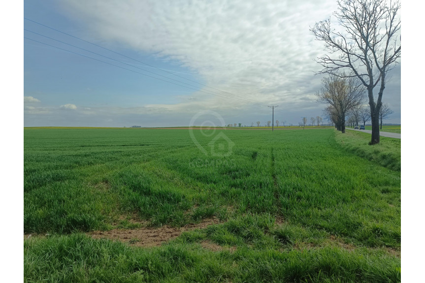 średzki, Kostomłoty, Duża działka z potencjałem inwestycyjnym!