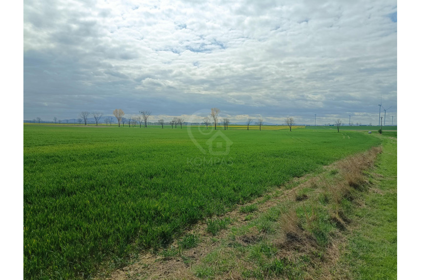 średzki, Kostomłoty, Duża działka z potencjałem inwestycyjnym!