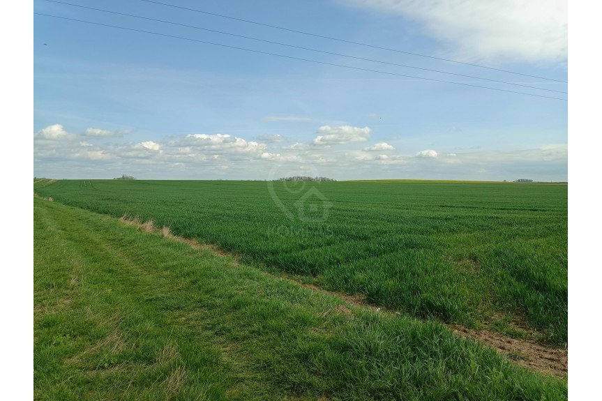 średzki, Kostomłoty, Duża działka z potencjałem inwestycyjnym!