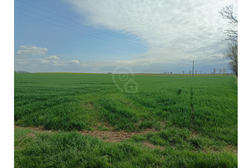 średzki, Kostomłoty, Duża działka z potencjałem inwestycyjnym!