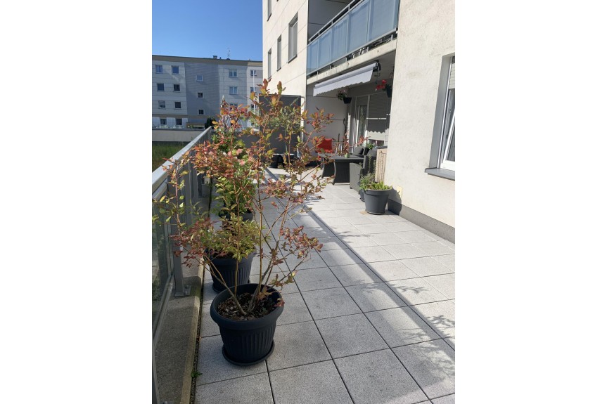 Wrocław, Wrocław-Psie Pole, Swojczyce, Vasco da Gamy, 3 pokoje+taras 42m2 Olimpia Port