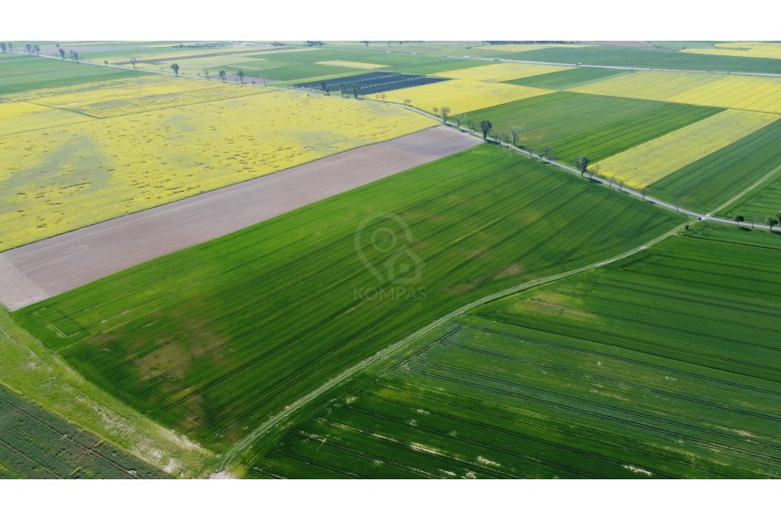 średzki, Kostomłoty, Duża działka z potencjałem inwestycyjnym!