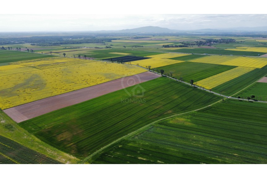 średzki, Kostomłoty, Duża działka z potencjałem inwestycyjnym!