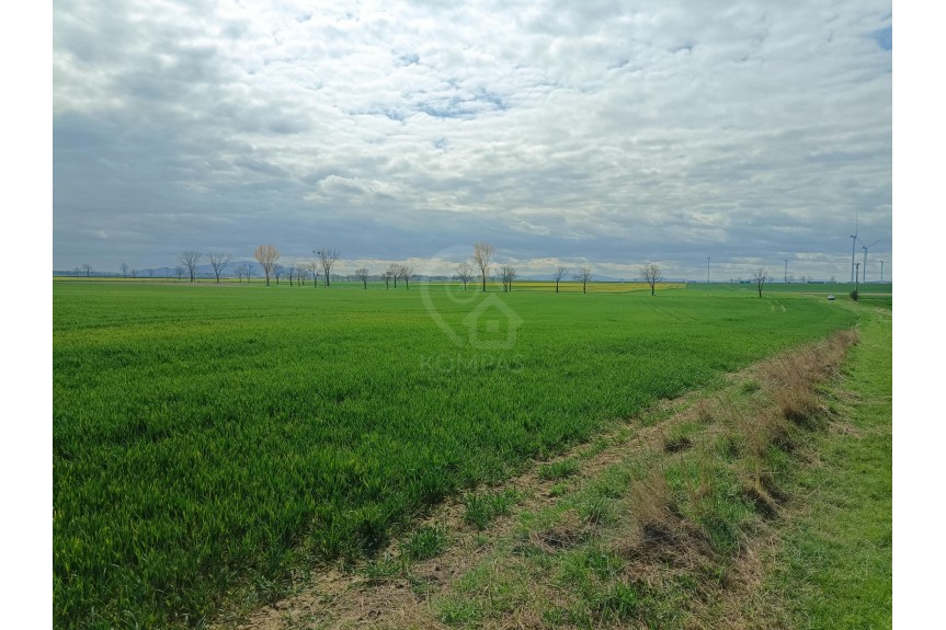 średzki, Kostomłoty, Duża działka z potencjałem inwestycyjnym!