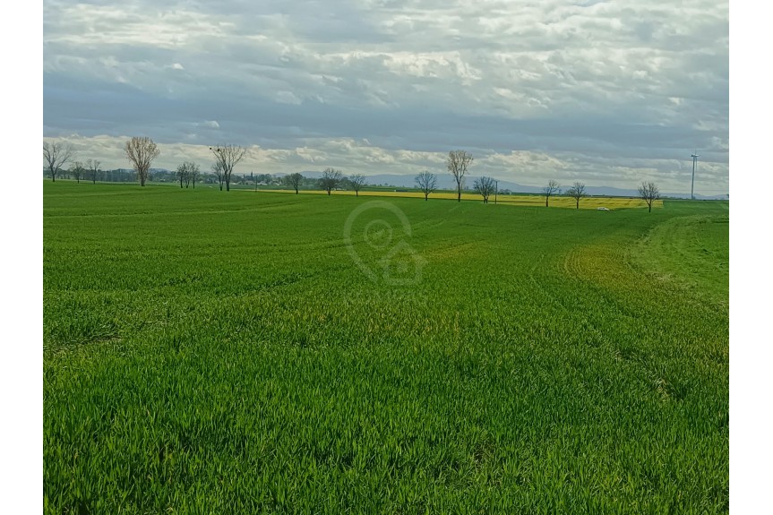 średzki, Kostomłoty, Duża działka z potencjałem inwestycyjnym!